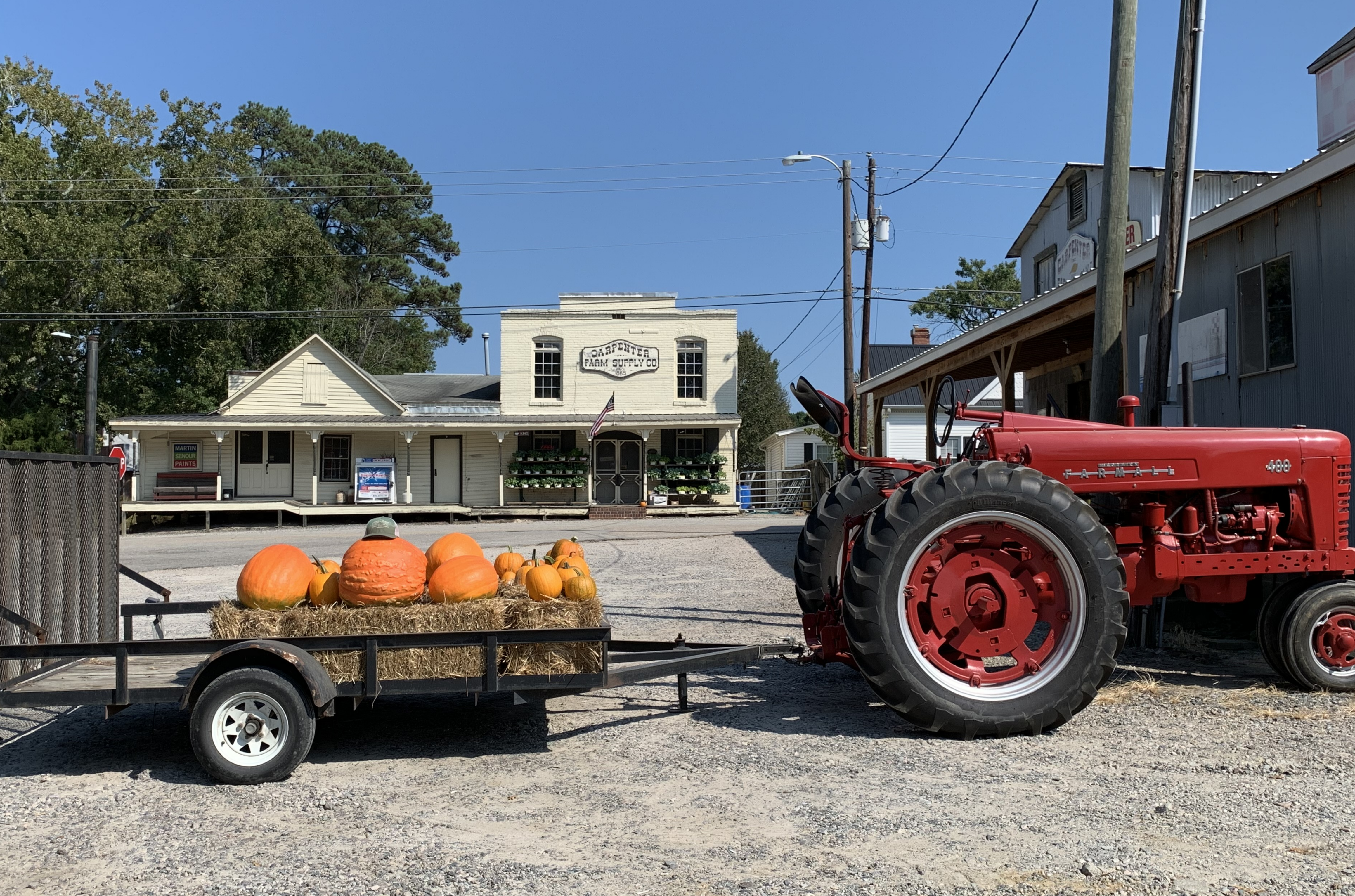 Tractor carrying pumpkins at Carpenter Farm Supply